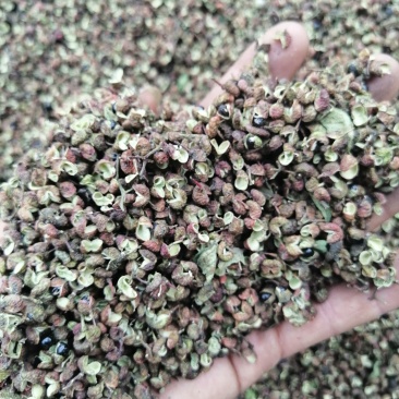 今年新产青花椒，货量稳定，量大价格优惠，