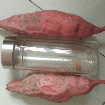 烤块烟薯