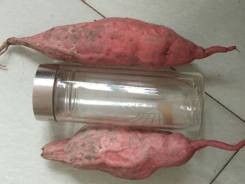 烤块烟薯
