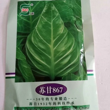 甘蓝种子苏甘867甘蓝种子