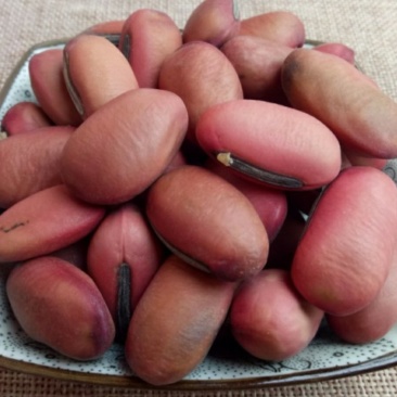 刀豆红刀豆各种食材供应