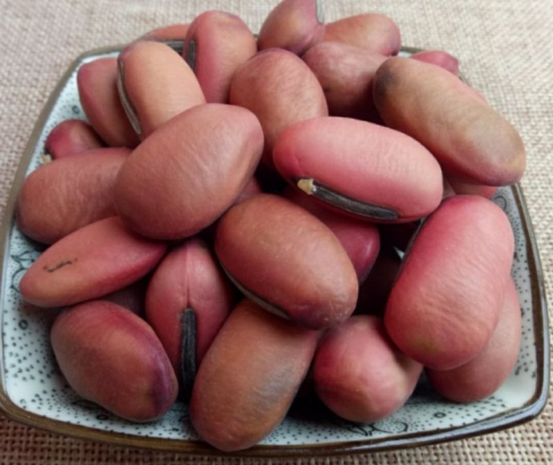 刀豆红刀豆各种食材供应