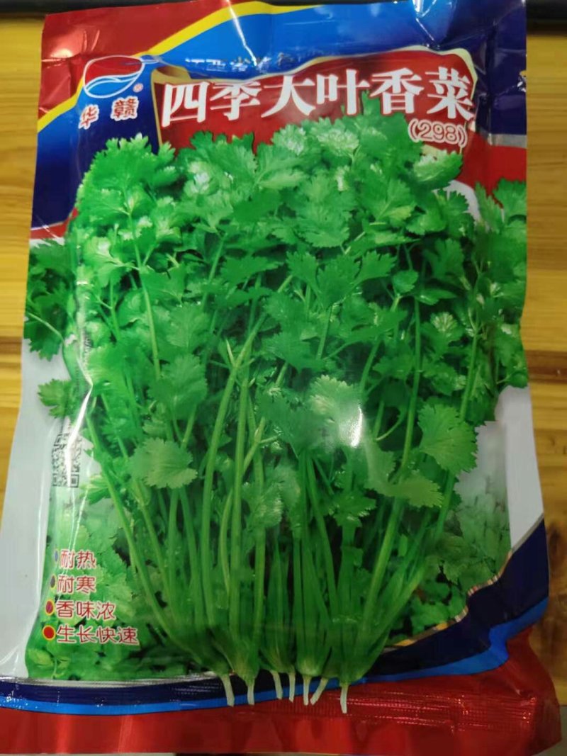 四季香菜种子耐热耐寒耐抽苔生长快速香味浓产量高