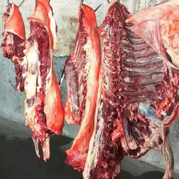 🔥假一赔十🔥正宗驴肉，货源充足，全国发货