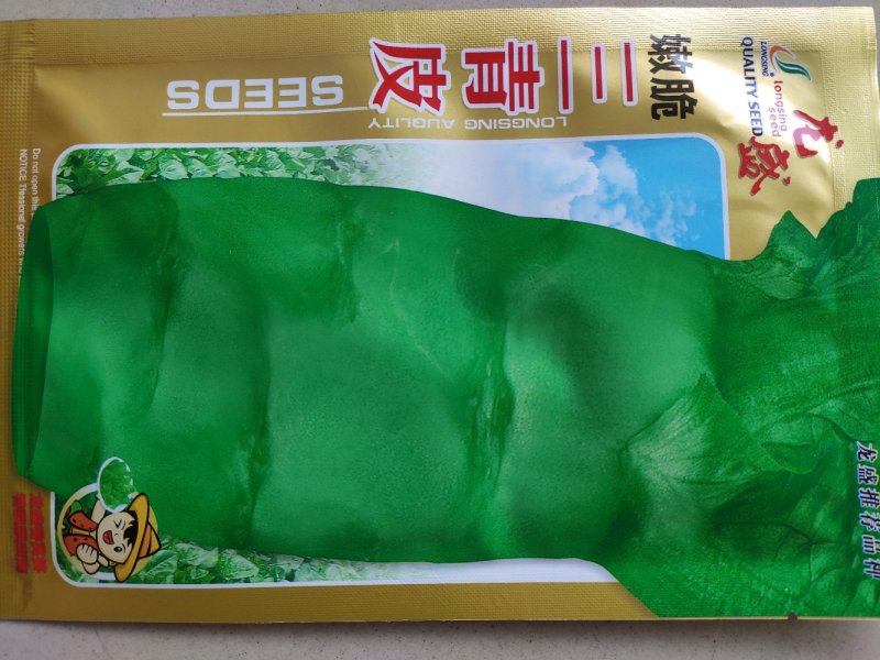 香青莴笋种子青皮青肉清香莴笋三青皮莴笋种子晚秋冬早春种植