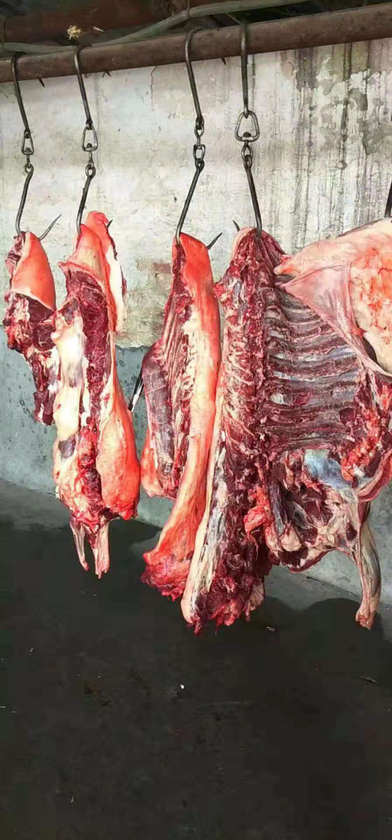 正宗驴肉，河北特产，百分百正品，假一赔十