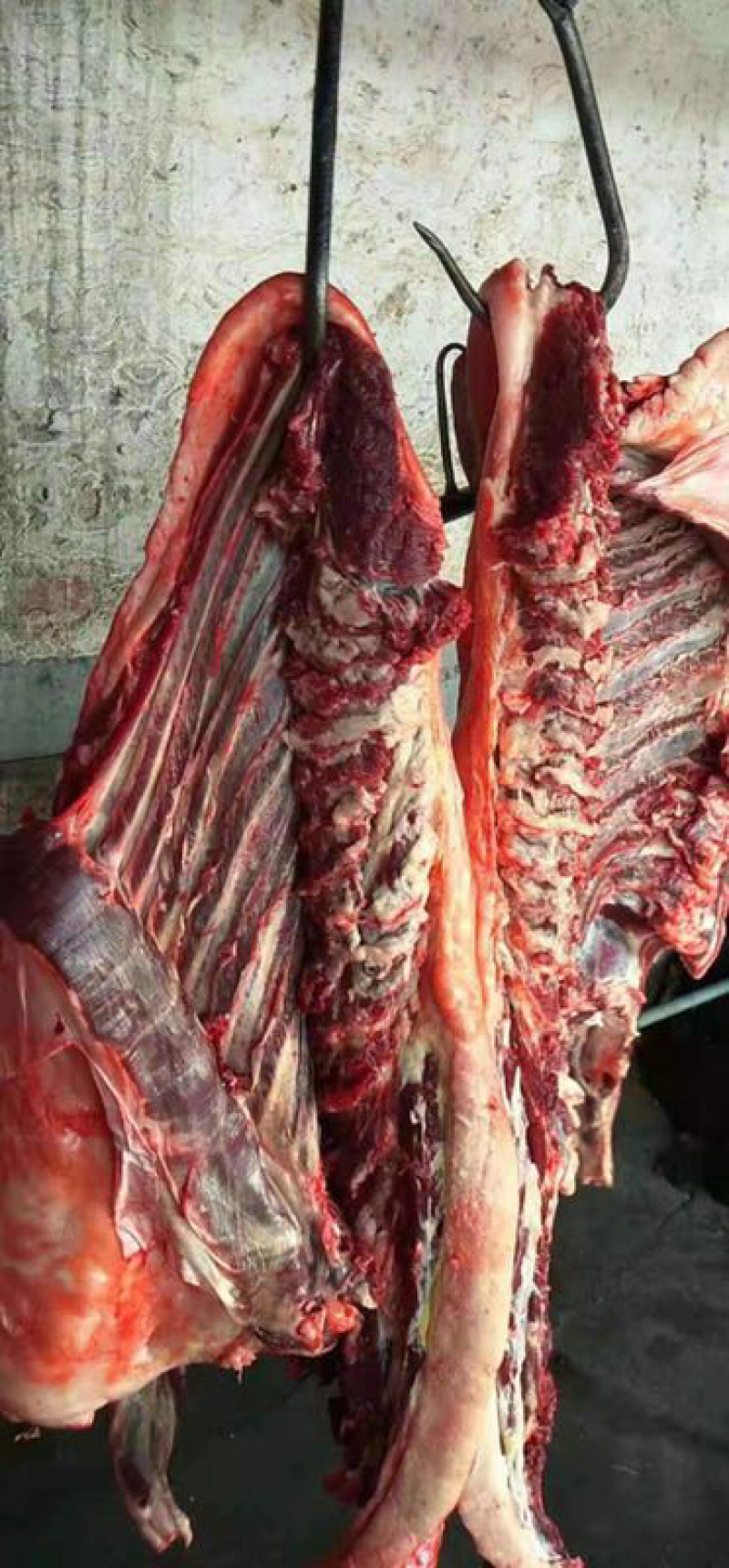 🔥驴肉🔥河北名吃，天上龙肉，地下驴肉，现杀现卖