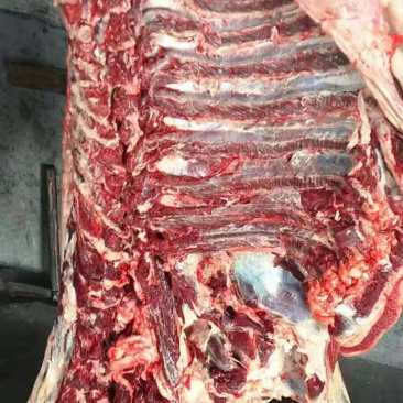 🔥驴肉🔥河北名吃，天上龙肉，地下驴肉，现杀现卖