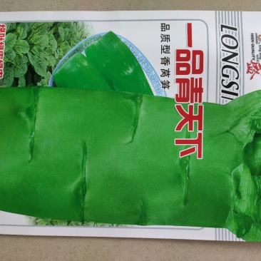 莴笋种子青皮青肉清清香莴笋种子青天下香莴笋种子