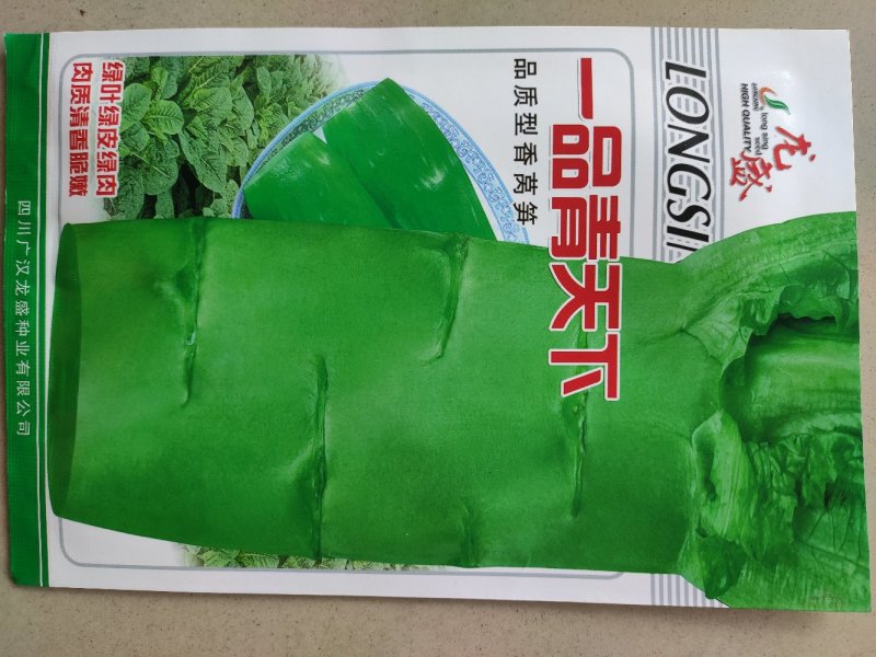 莴笋种子青皮青肉清清香莴笋种子青天下香莴笋种子