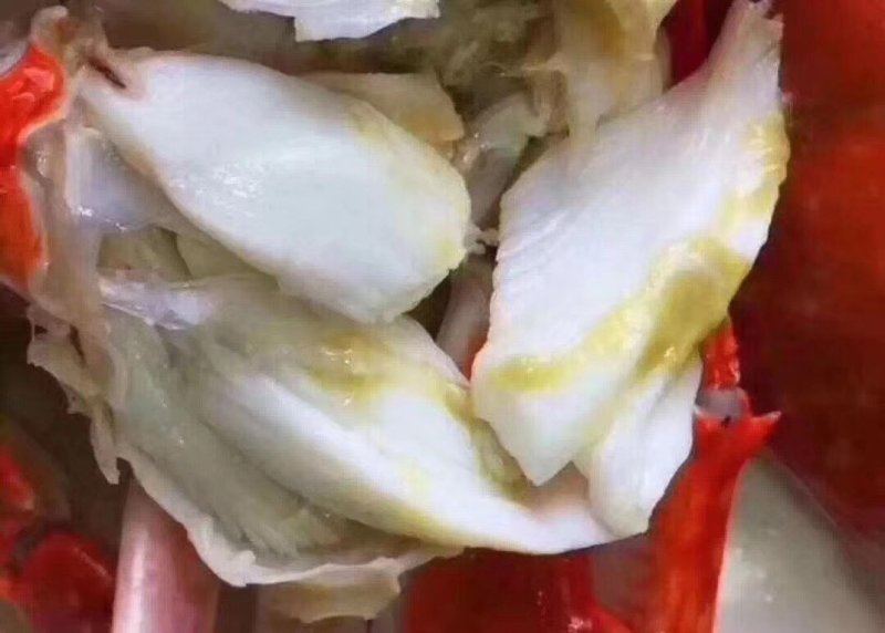 精品梭子蟹，舟山直供！5斤装起售！