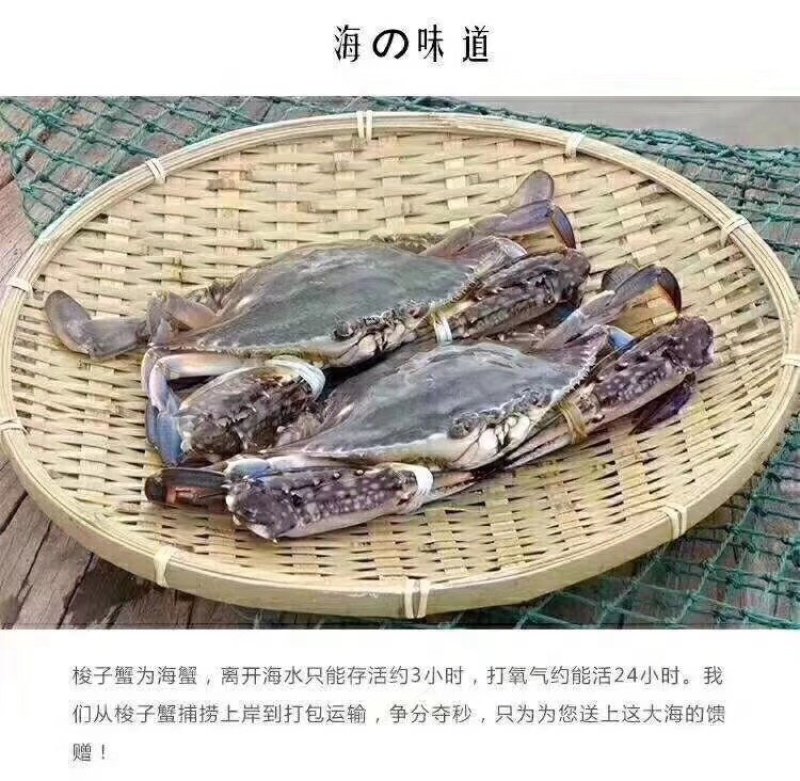 精品梭子蟹，舟山直供！5斤装起售！