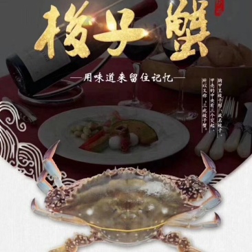 精品梭子蟹，舟山直供！5斤装起售！