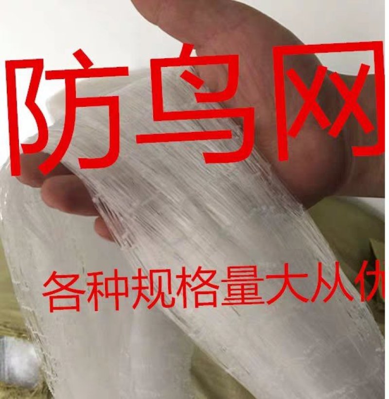 防鸟网尼龙全新料材质聚乙烯防鸟网可以用5年包售后