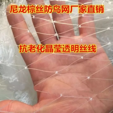 防鸟网尼龙全新料材质聚乙烯防鸟网可以用5年包售后