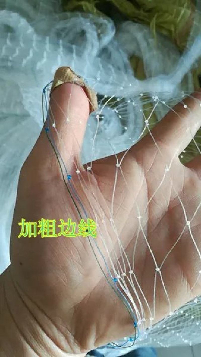 防鸟网尼龙全新料材质聚乙烯防鸟网可以用5年包售后