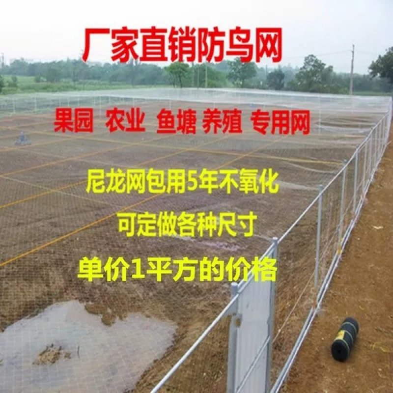 防鸟网尼龙全新料材质聚乙烯防鸟网可以用5年包售后