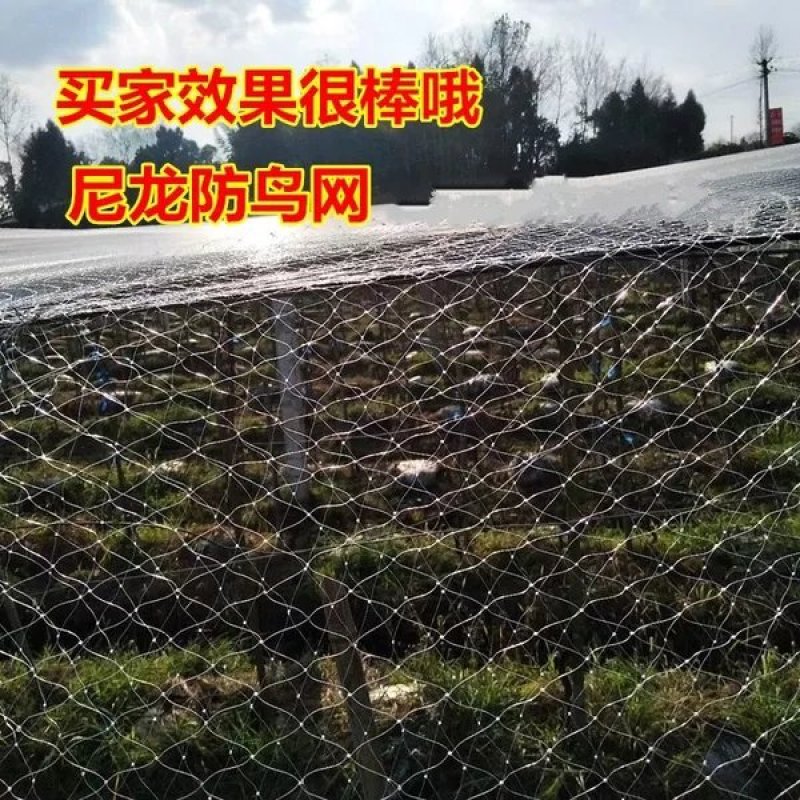 防鸟网尼龙全新料材质聚乙烯防鸟网可以用5年包售后