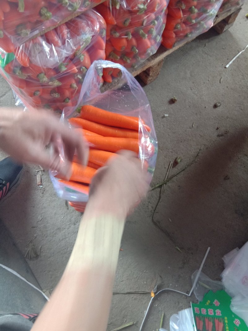 胡萝卜:颜色好条形正，表皮光滑亮泽。无伤残质量保证。