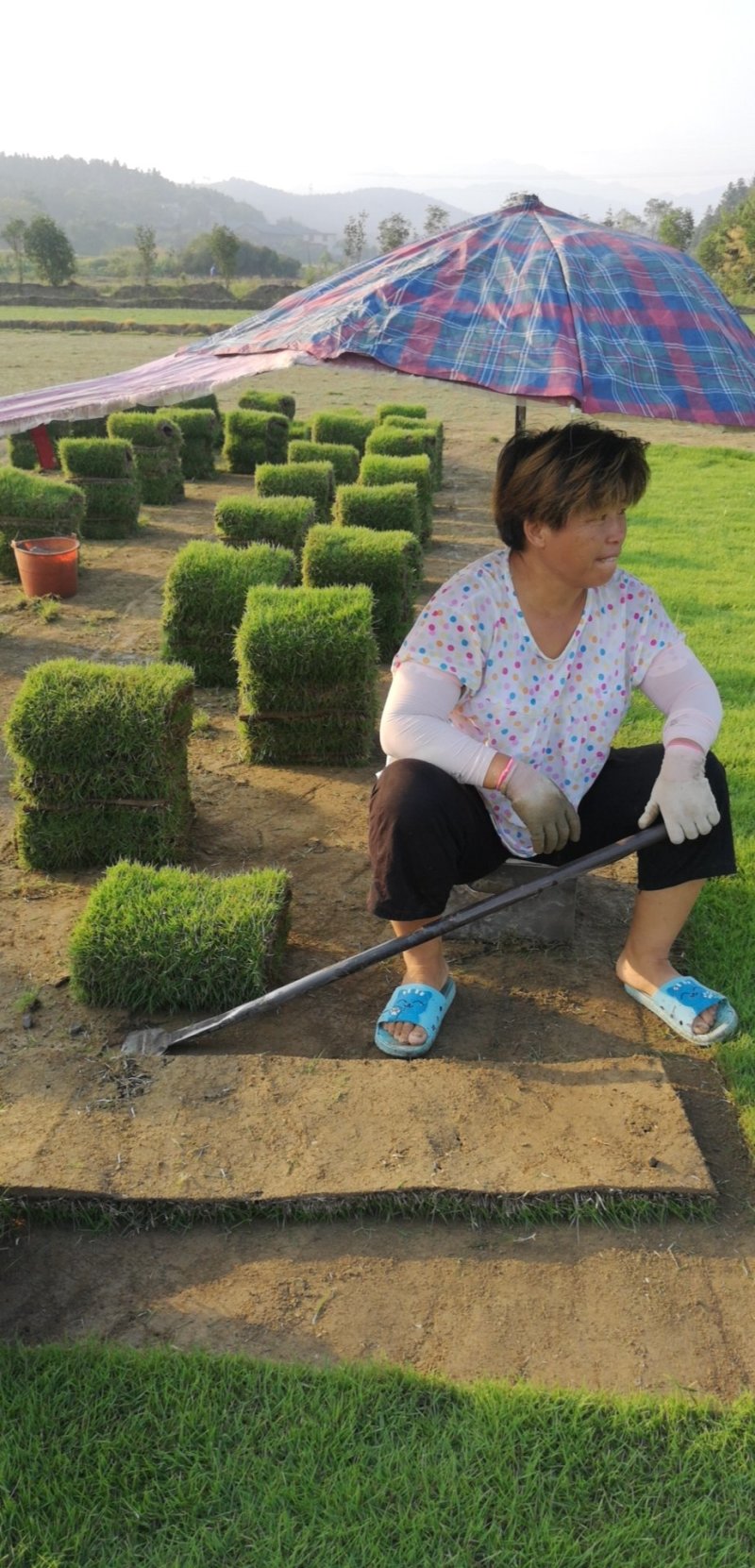 马尼拉