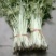芹菜