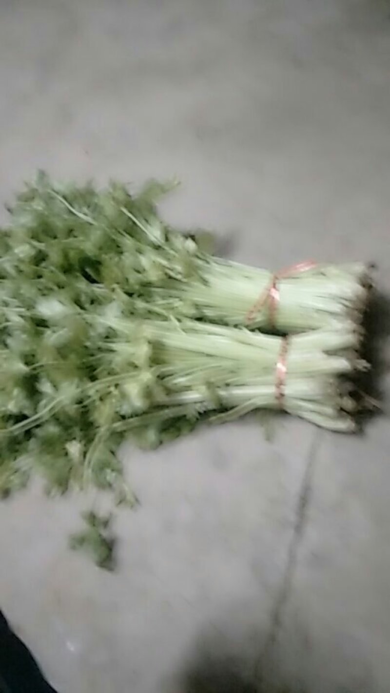 芹菜
