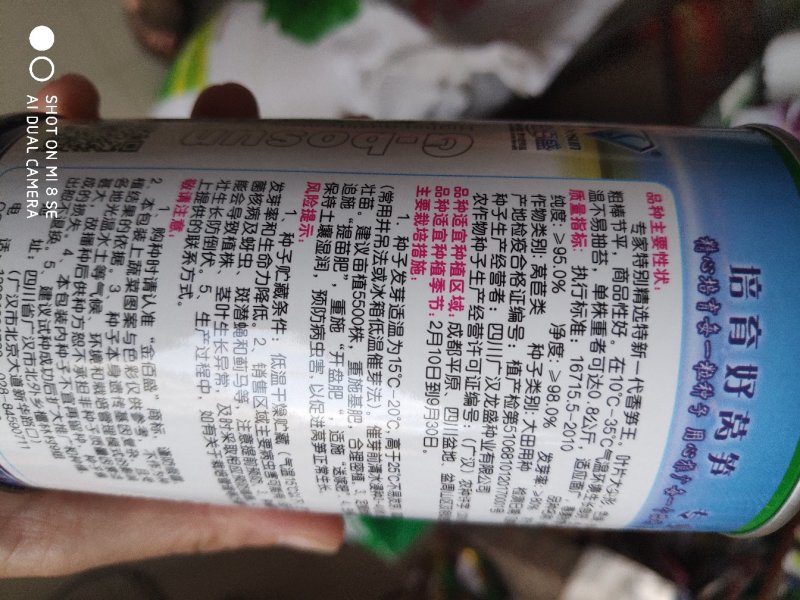 莴笋种子香芭拉青皮青肉香莴笋种子