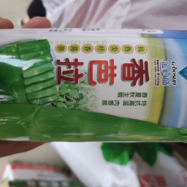莴笋种子香芭拉青皮青肉香莴笋种子