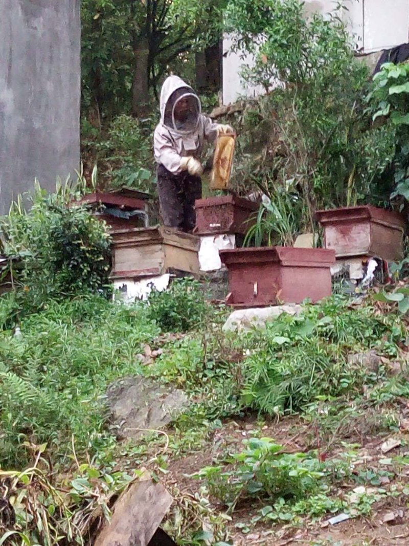 蜂蜜广东潮州野蜂蜜纯荔枝蜜无添加蜂农直销不寄样品骗子绕道