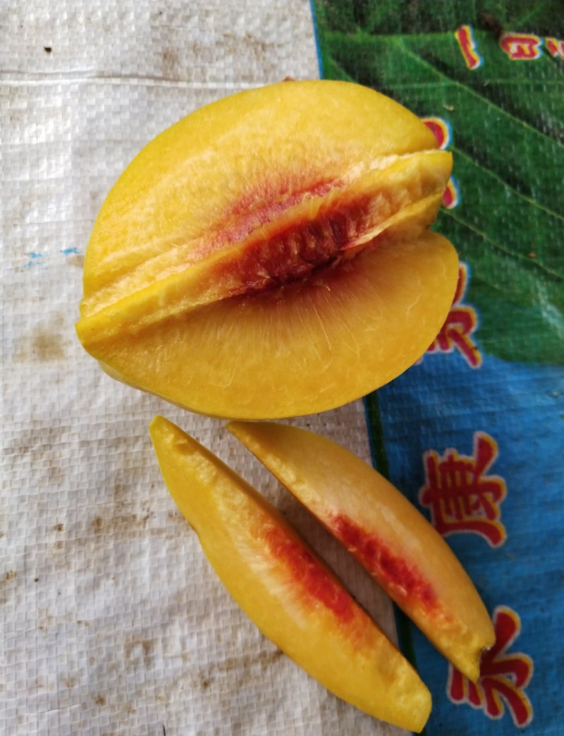 👄👄美味锦绣黄桃精挑细选，有机认证