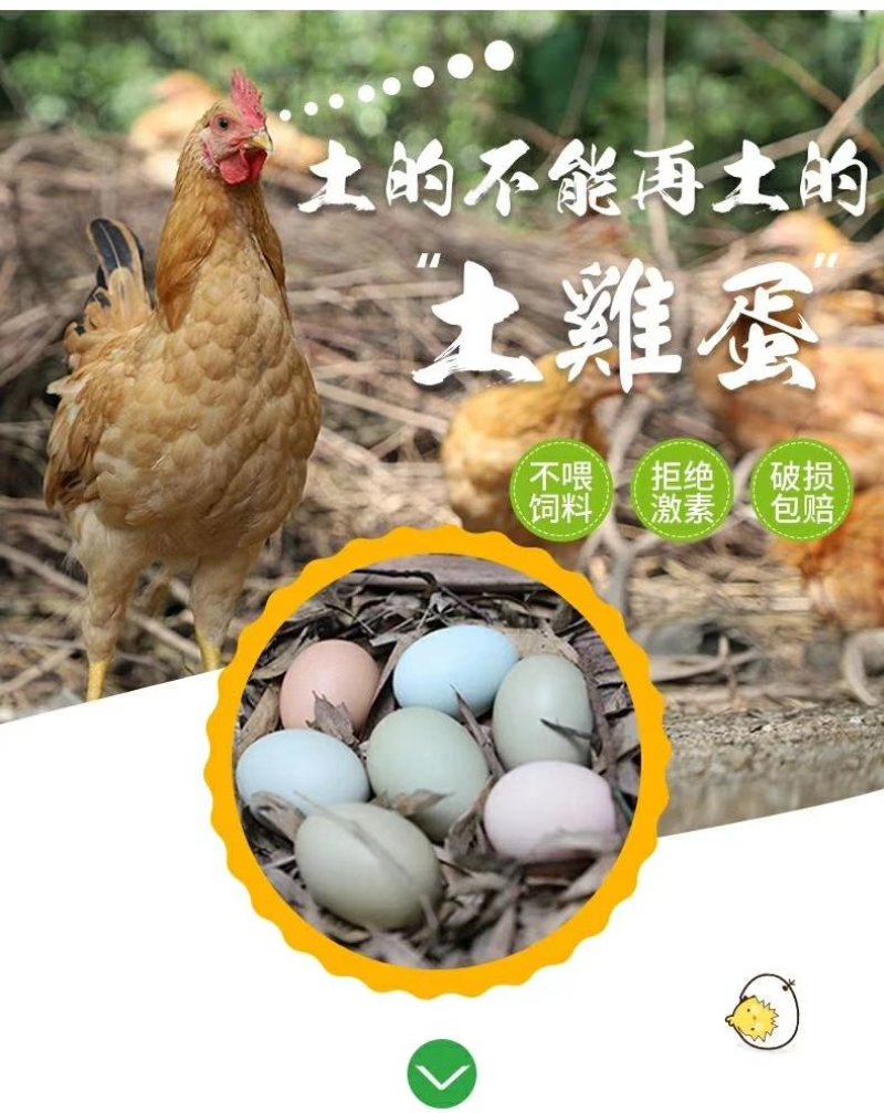 山林散养绿壳土鸡（初生）蛋，常年有货