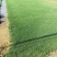 草皮马尼拉草皮福建漳州