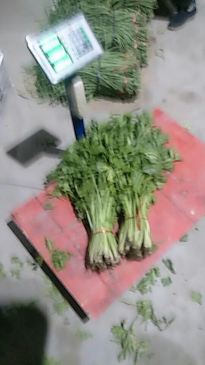 芹菜