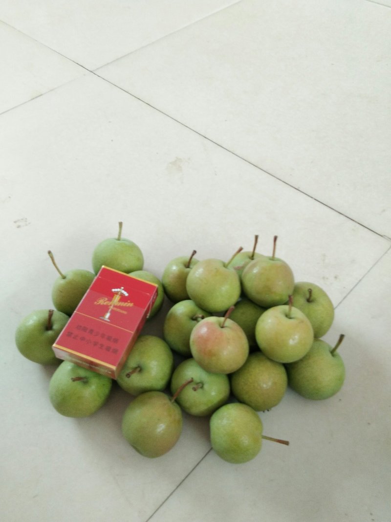 南果梨50――55香甜可口