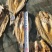 翘嘴白鱼大白鱼大翘嘴有盐