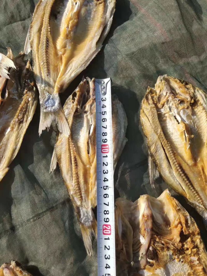 翘嘴白鱼大白鱼大翘嘴有盐