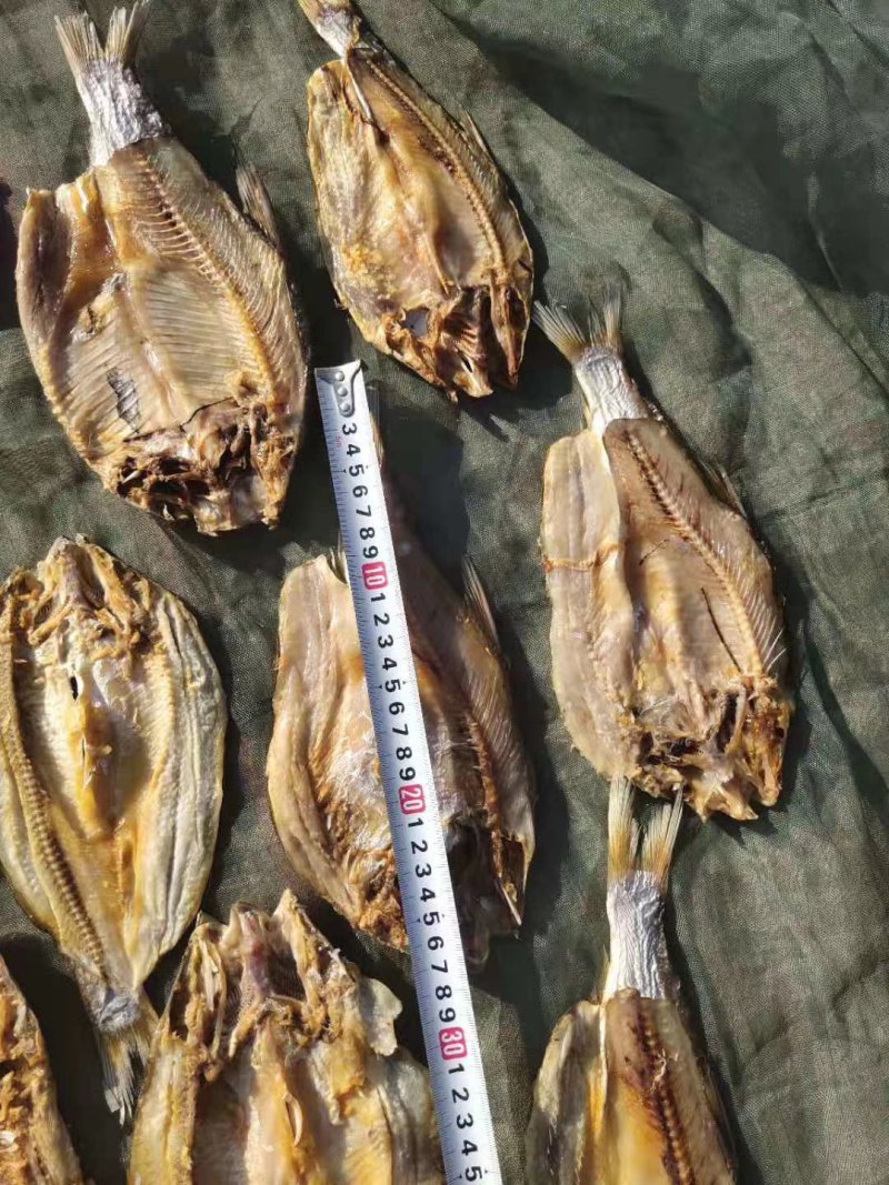 翘嘴白鱼大白鱼大翘嘴有盐