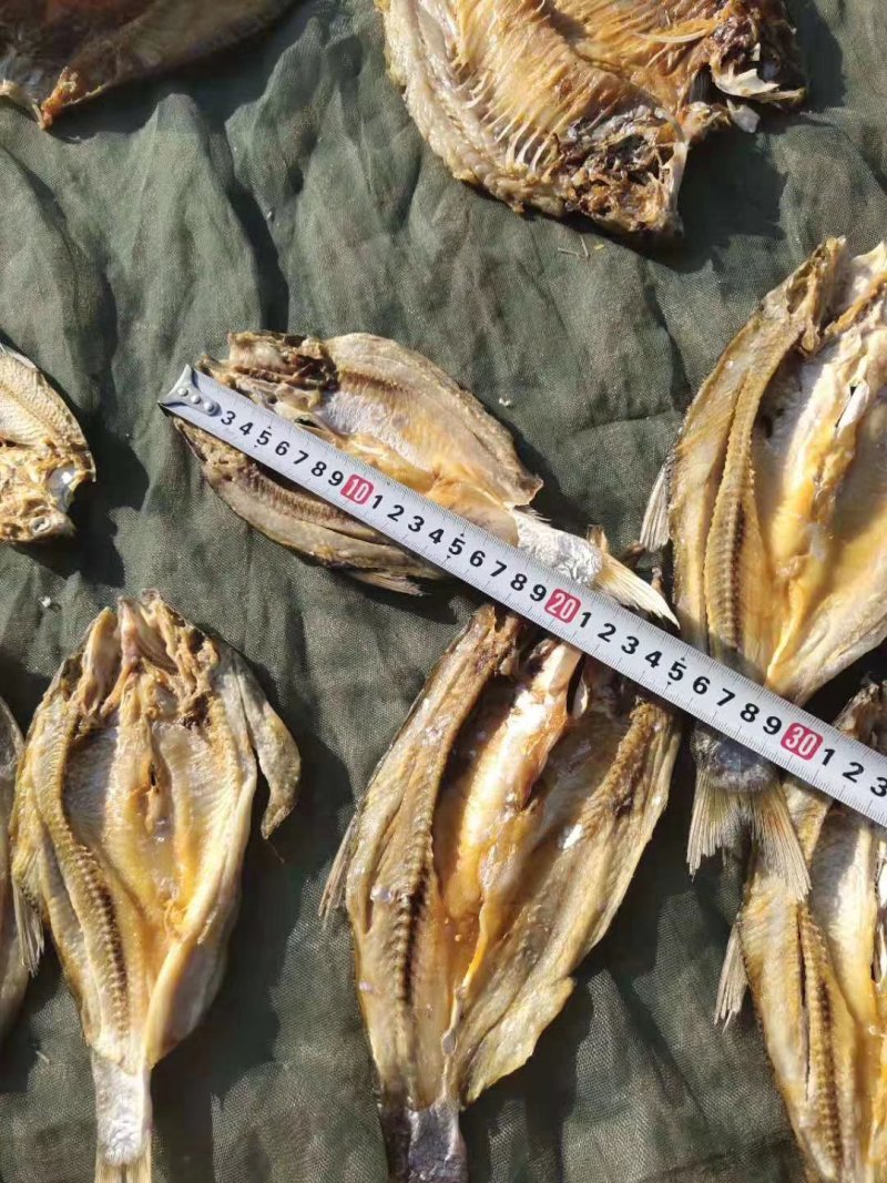 翘嘴白鱼大白鱼大翘嘴有盐