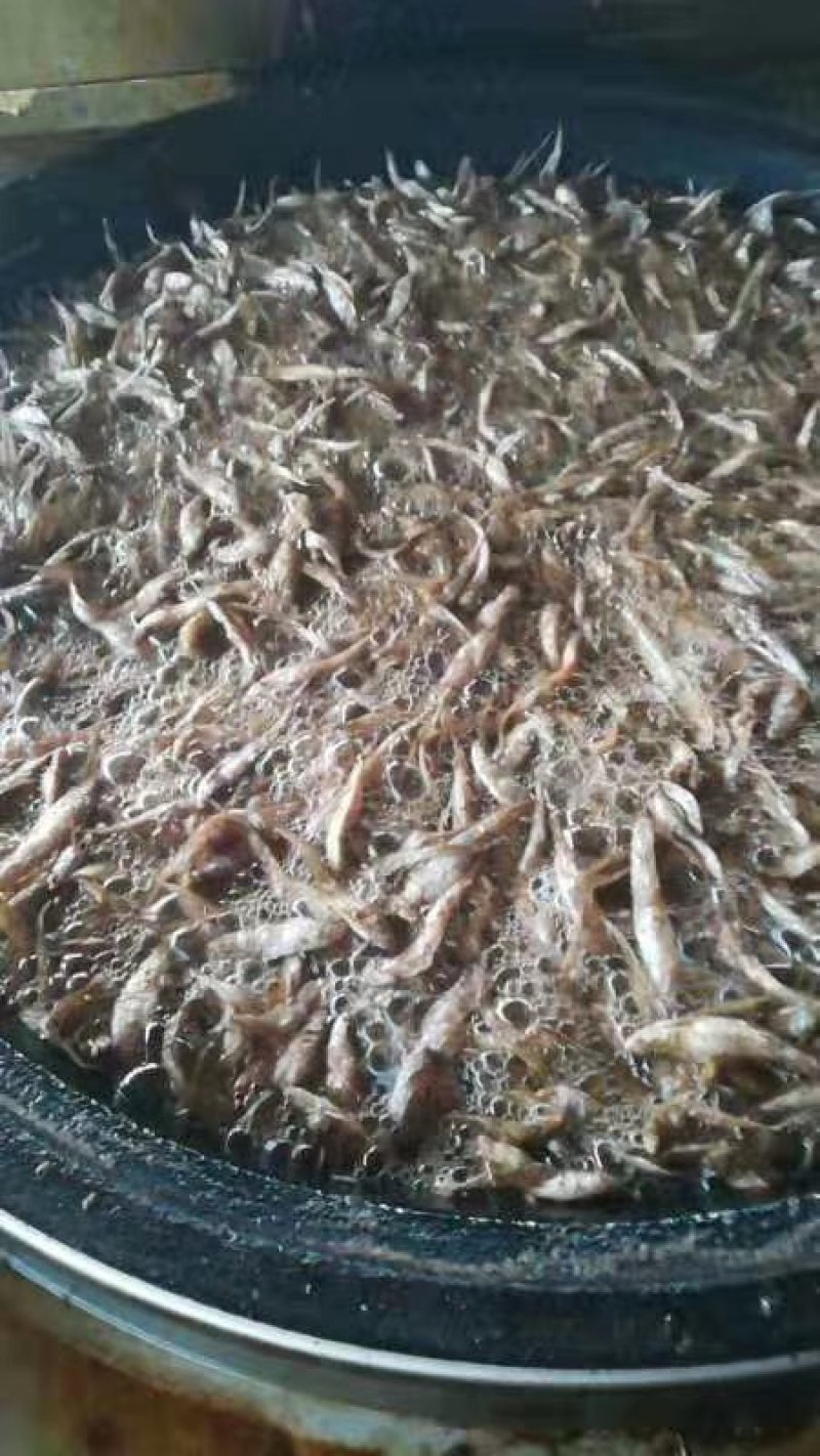 即食油炸野生毛刀鱼