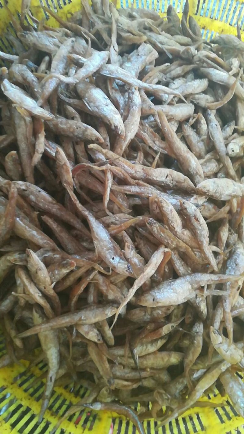 即食油炸野生毛刀鱼