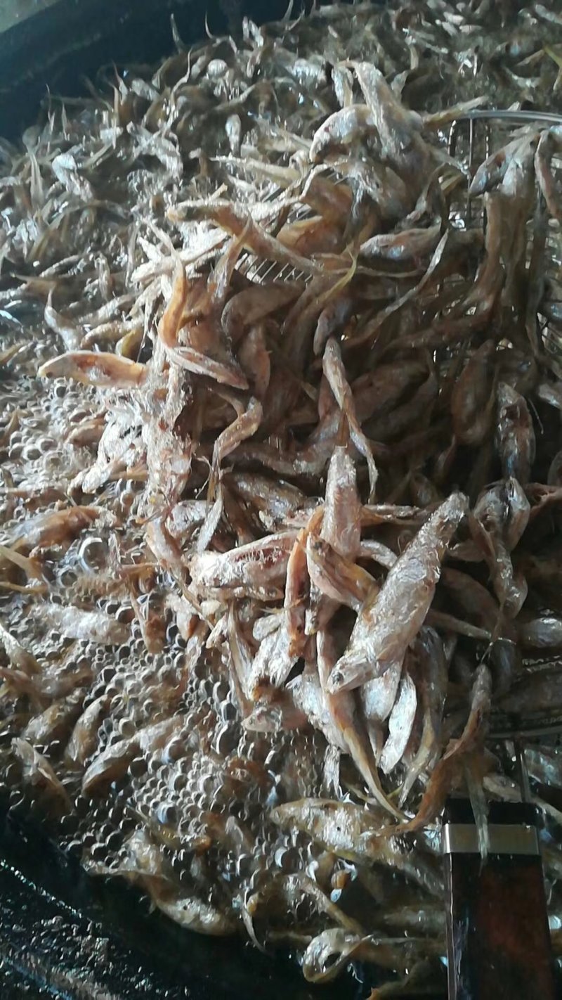 即食油炸野生毛刀鱼
