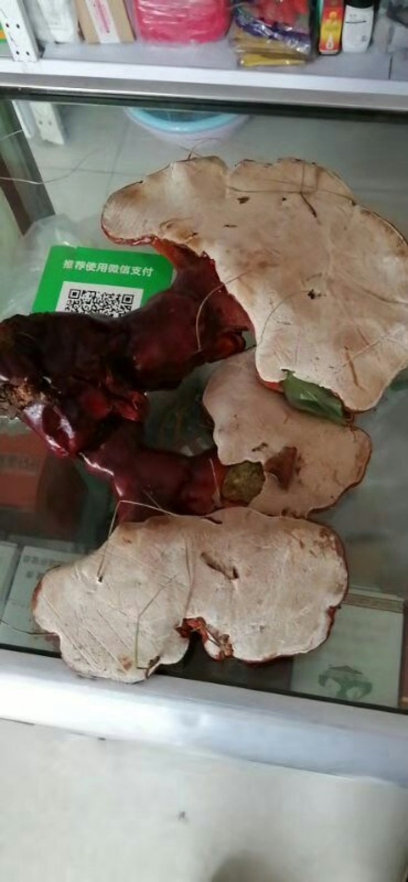 纯野生灵芝假一赔百敬请选用