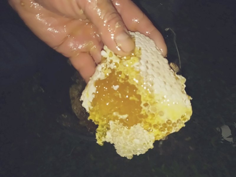 土蜂蜜