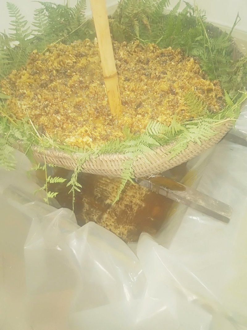 土蜂蜜