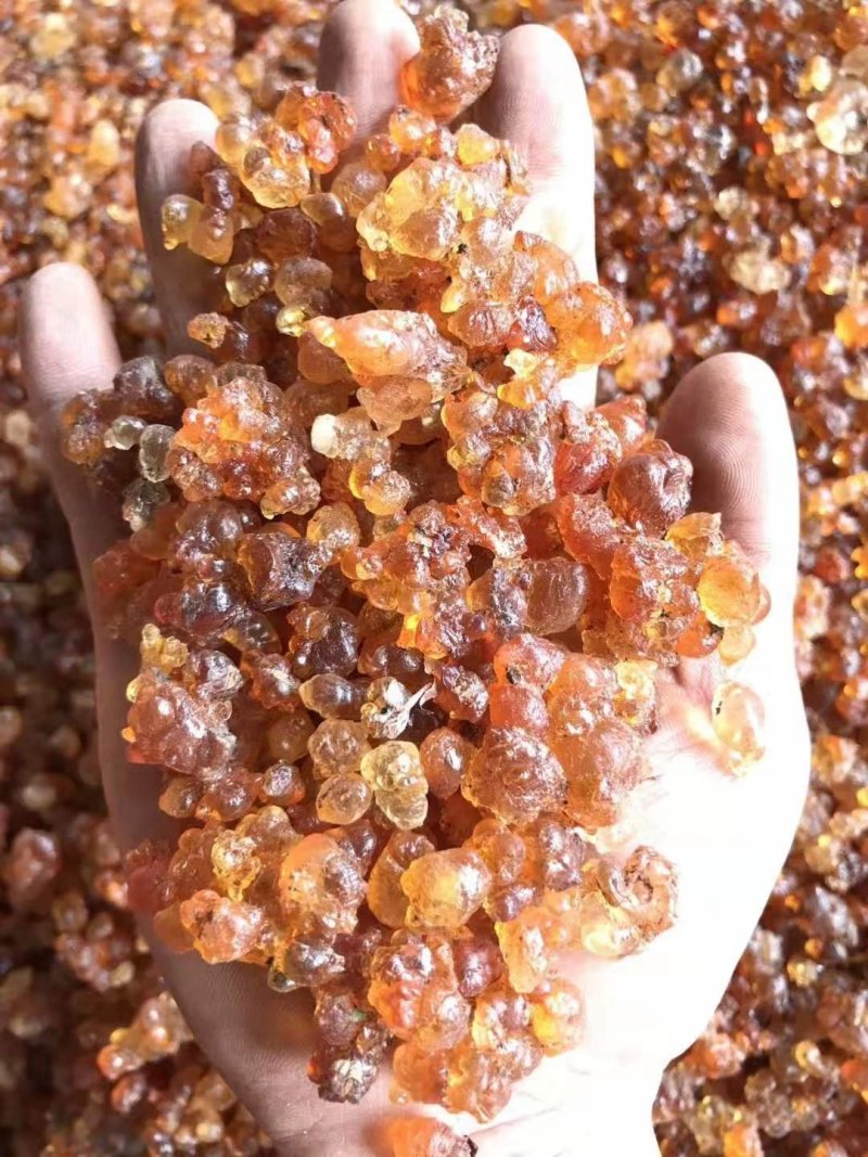 桃胶桃树脂桃花泪精选珍珠红黄胶雪燕皂角米组合云南产地批发