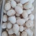 长年供应鹅种蛋，皖杂泰州（泰州母，皖浦公，皖西公），三花