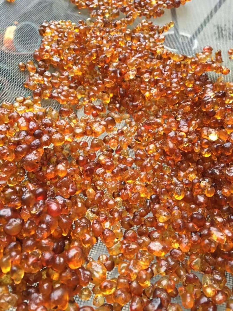 珍珠胶天然珍珠胶黄桃胶皂角米雪燕组合食用桃胶