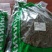 佩兰佩兰草佩兰干货农家初选农副产品123