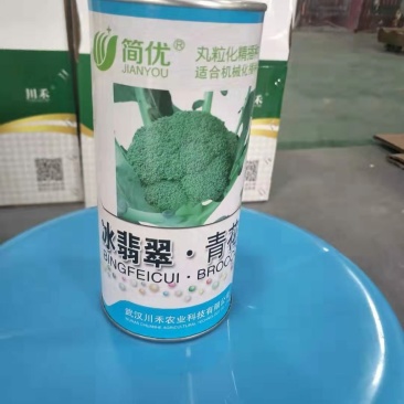 冰翡翠西兰花改良品种中晚熟单球800克花蕾细密120天