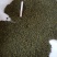 江西樟树中花吴茱萸干净无杂质欢迎采购
